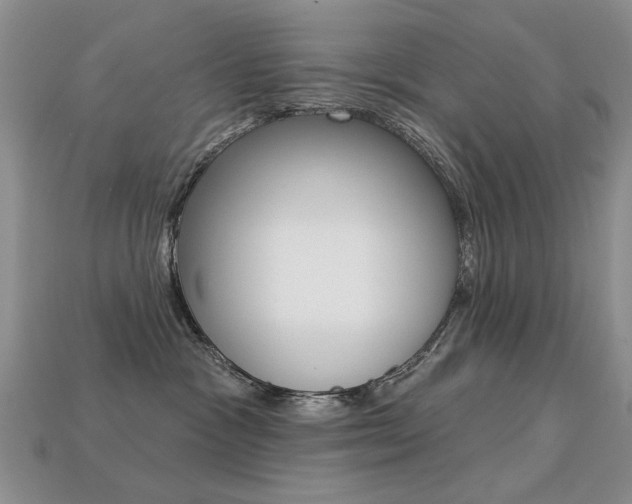 X0000113230333200909100948