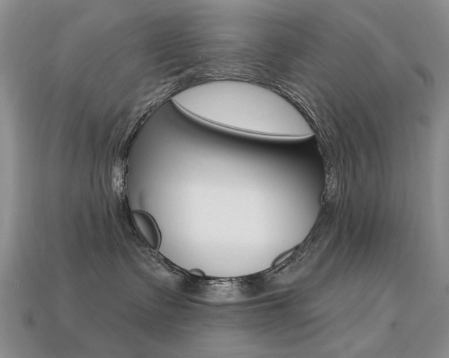 X0000113230335200909100948