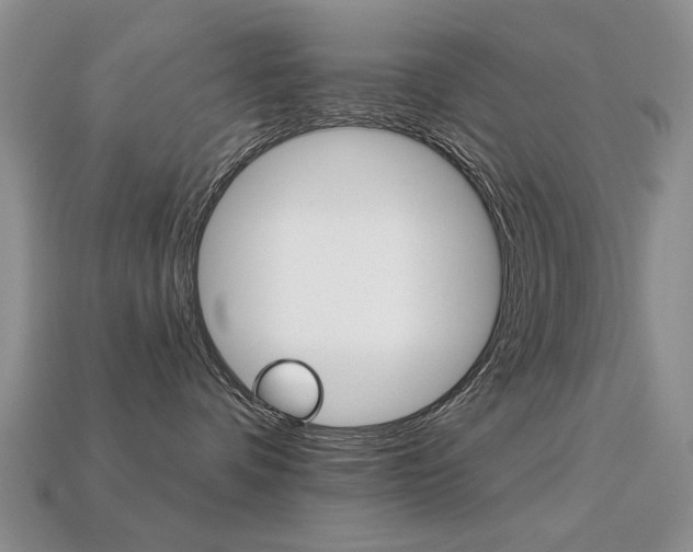 X0000113230336200909100948