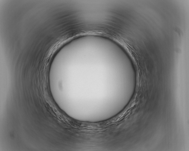 X0000113230337200909100947