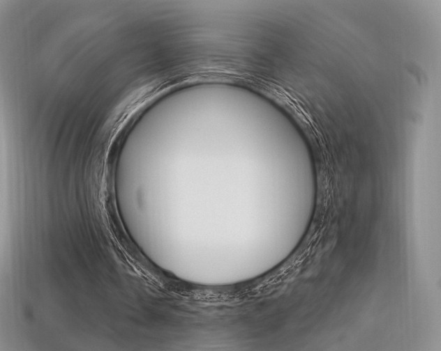 X0000113230338200909100947