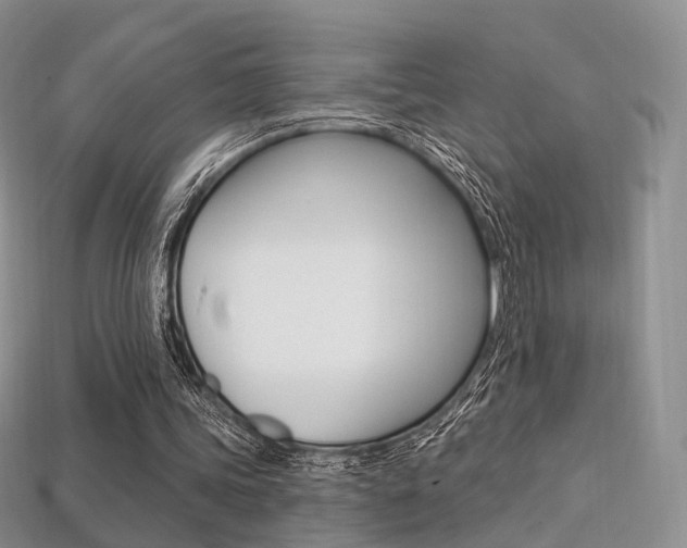 X0000113230339200909100948
