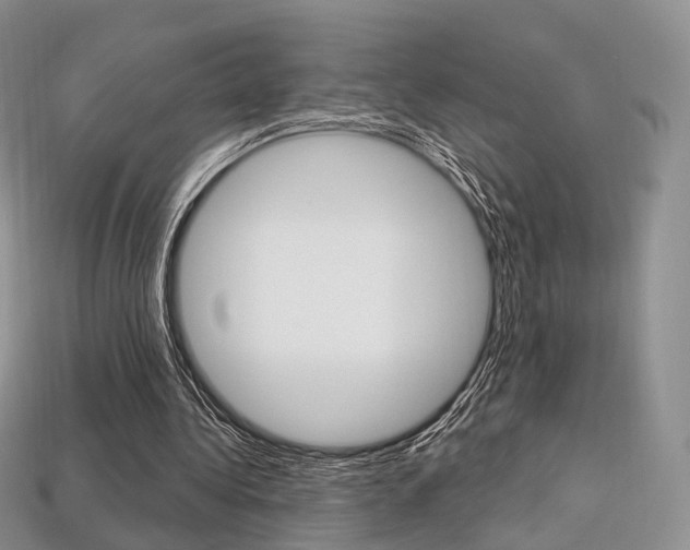 X0000113230340200909100948