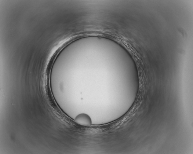 X0000113230342200909100948