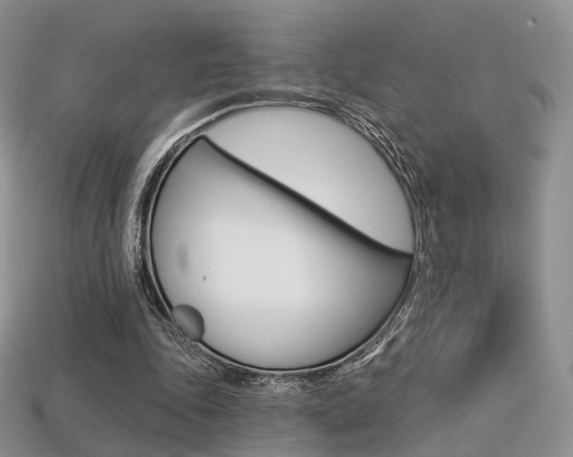 X0000113230343200909100948