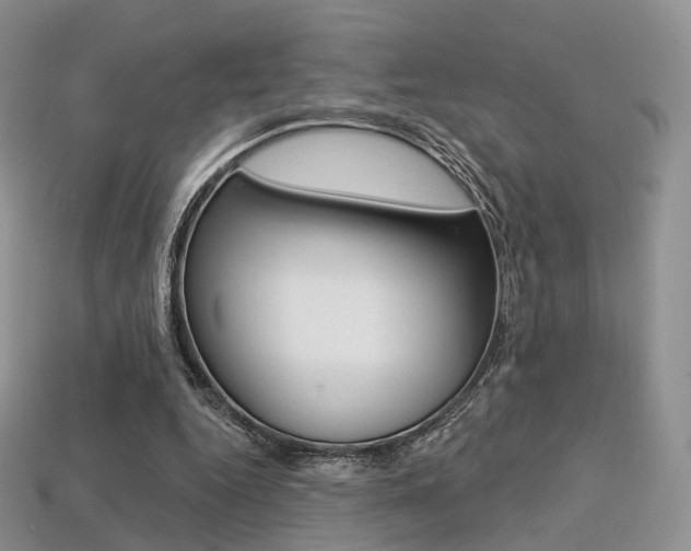 X0000113230344200909100948