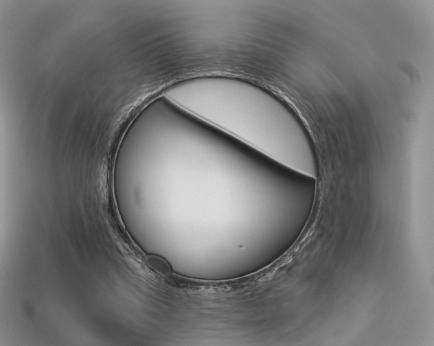 X0000113230345200909100948