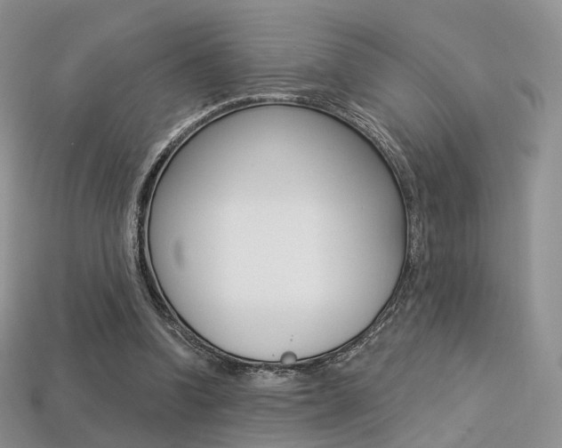 X0000113230346200909100948