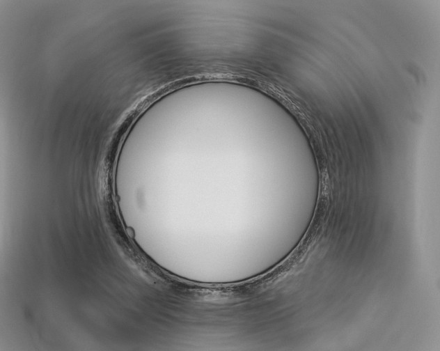 X0000113230347200909100948
