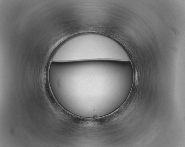 X0000113230348200909100948