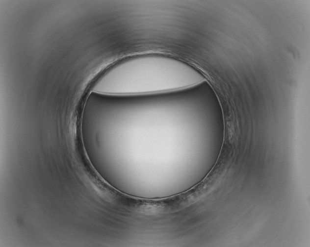 X0000113230350200909100948