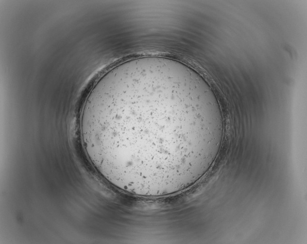 X0000113230351200909100948