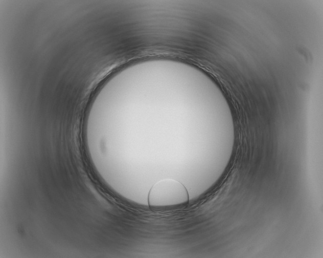 X0000113230352200909100948