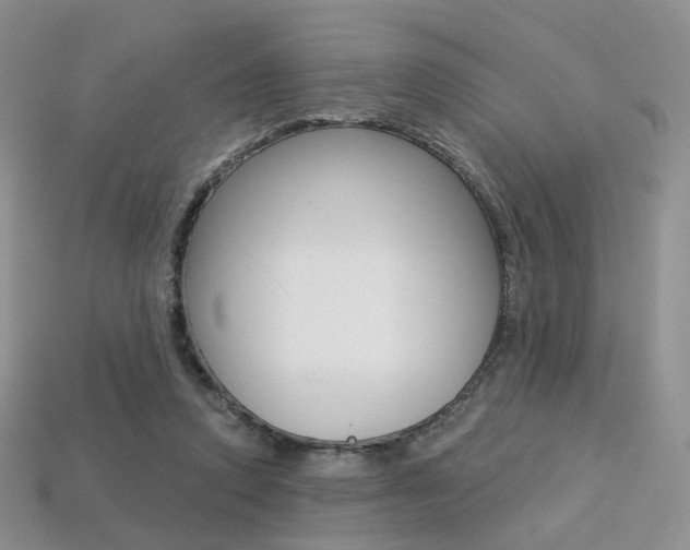 X0000113230354200909100948