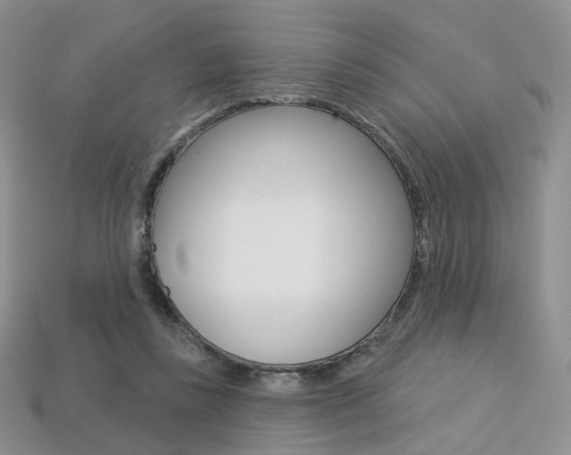 X0000113230355200909100948