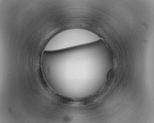 X0000113230356200909100948