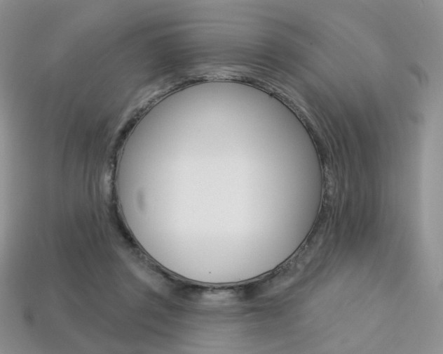 X0000113230357200909100948