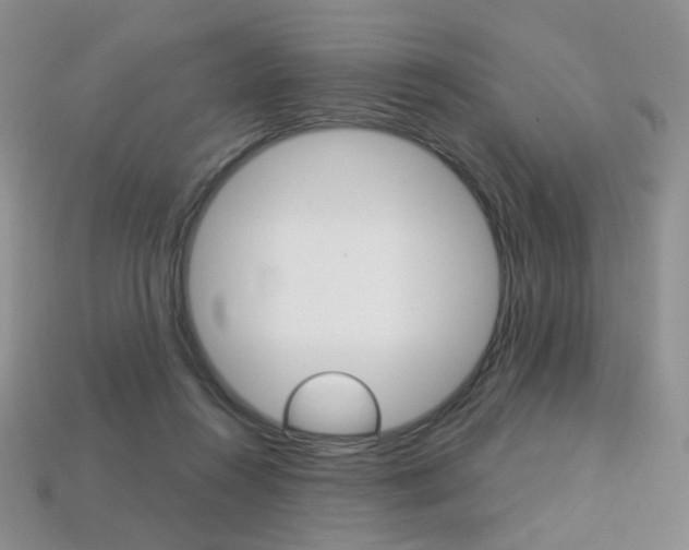 X0000113230360200909100948