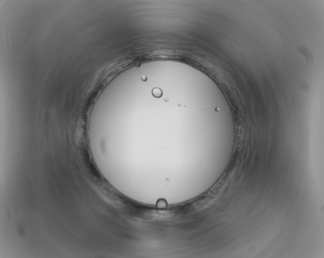 X0000113230361200909100948