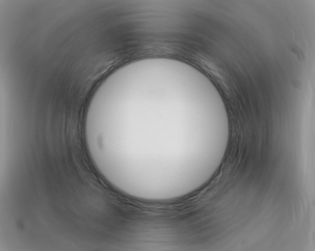 X0000113230362200909100948