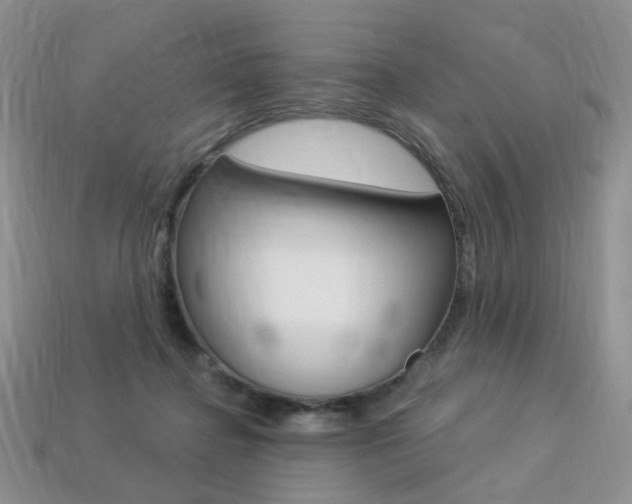 X0000113230364200909100948