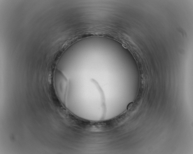 X0000113230368200909100948