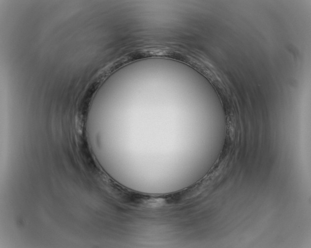 X0000113230374200909100948