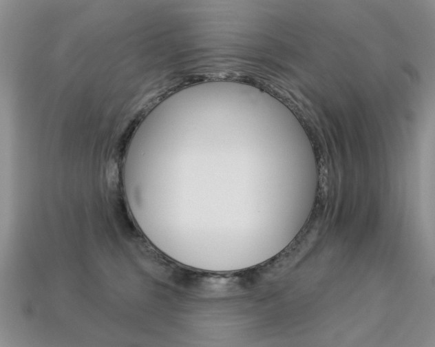 X0000113230375200909100948