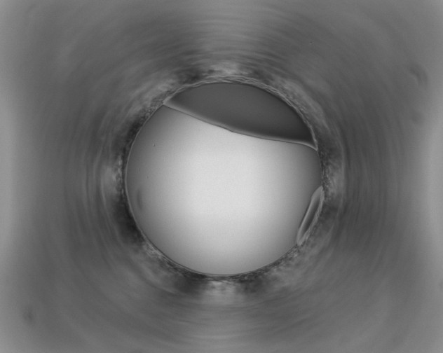 X0000113230376200909100948