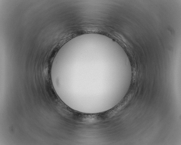 X0000113230377200909100948