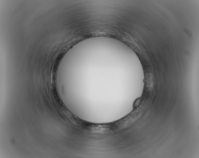 X0000113230378200909100948