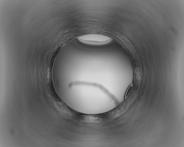 X0000113230380200909100948