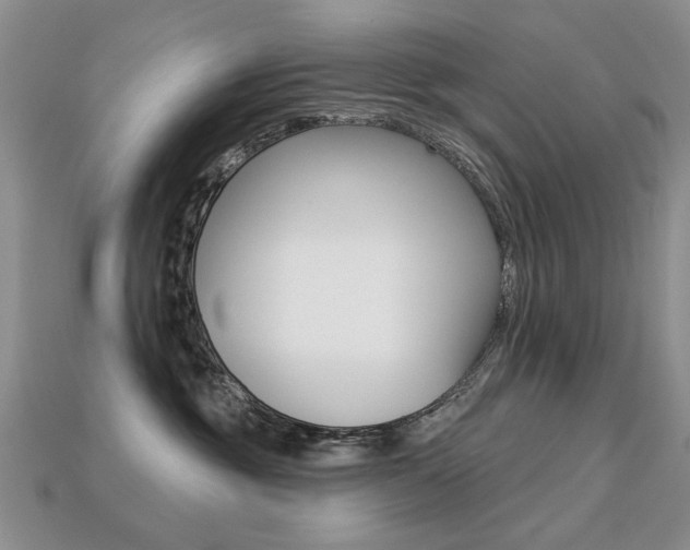 X0000113230381200909100948