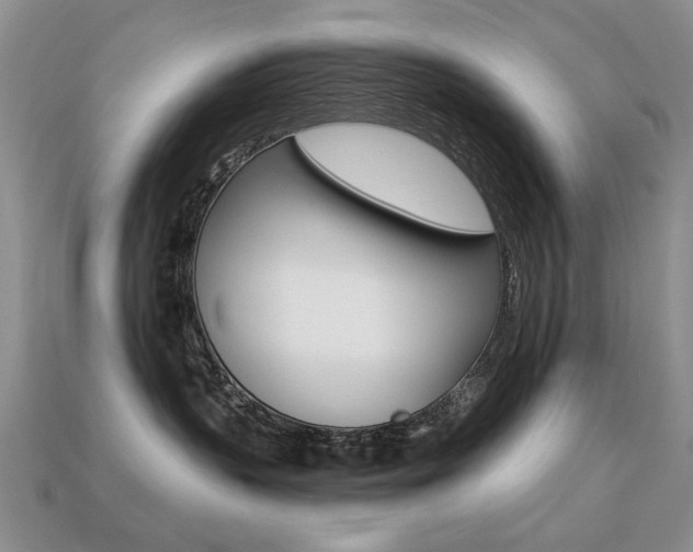 X0000113230383200909100948