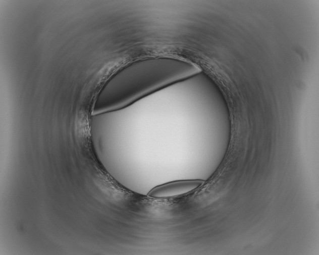 X0000113230384200909100948