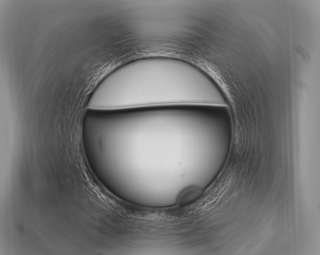 X0000113230385200909100947