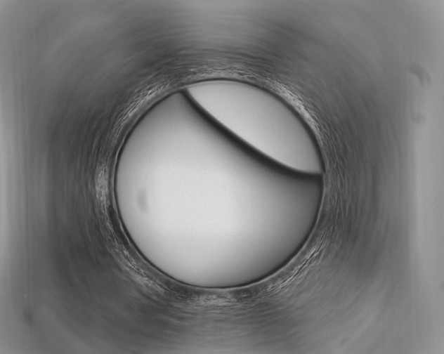 X0000113230386200909100947