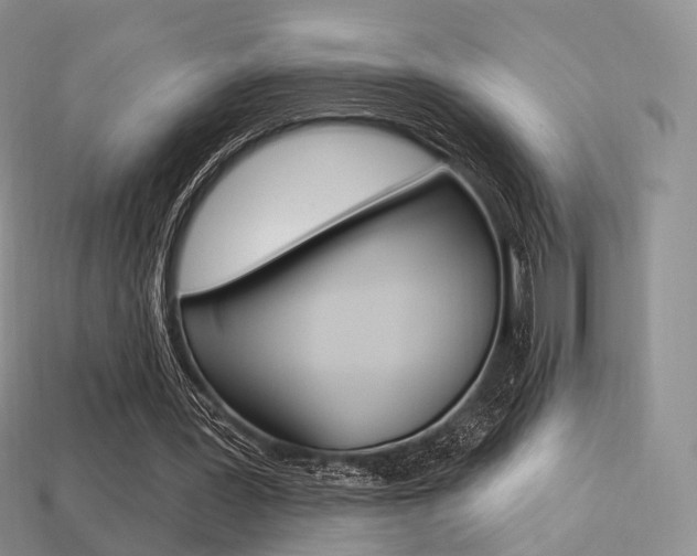 X0000113230387200909100947