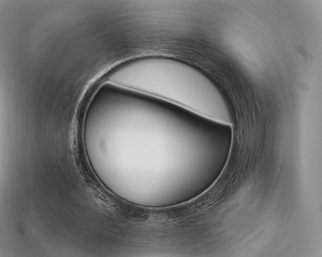 X0000113230388200909100947