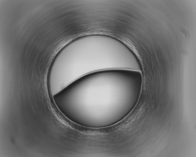 X0000113230389200909100947
