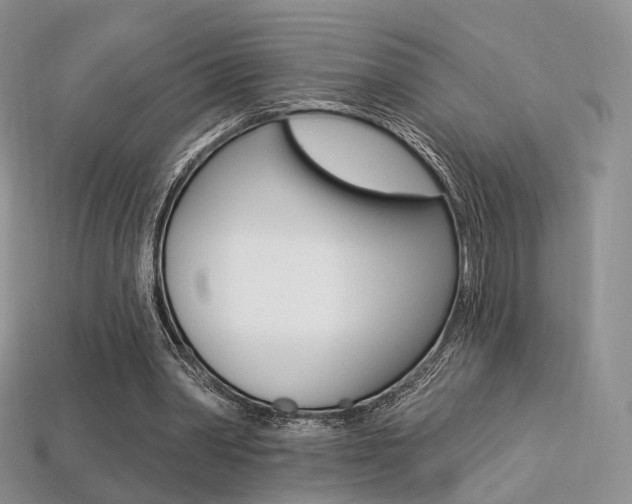 X0000113230390200909100947