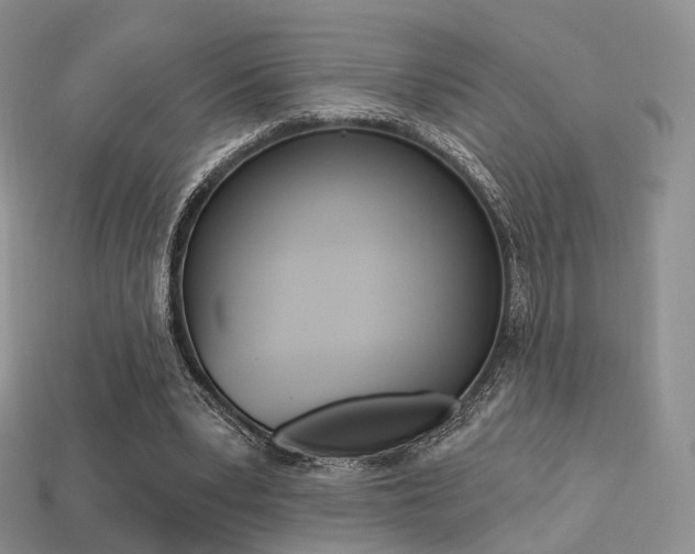 X0000113230391200909100947
