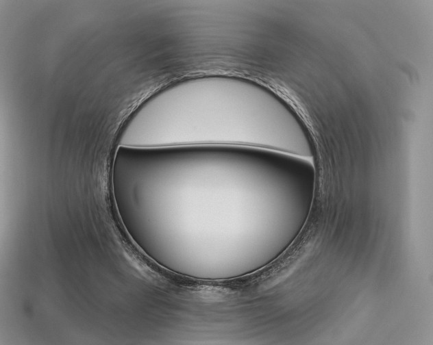 X0000113230393200909100947