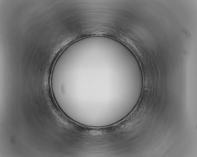 X0000113230394200909100947