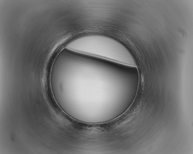 X0000113230396200909100947