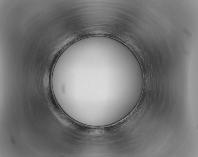 X0000113230398200909100947