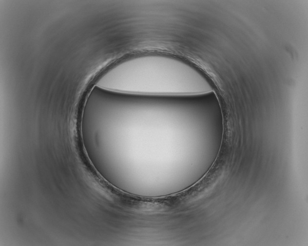 X0000113230399200909100947