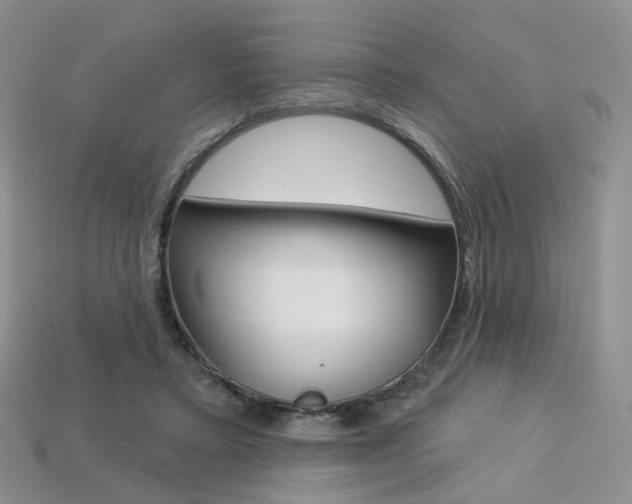 X0000113230403200909100947
