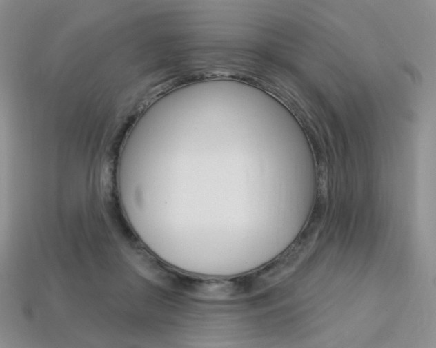 X0000113230410200909100947