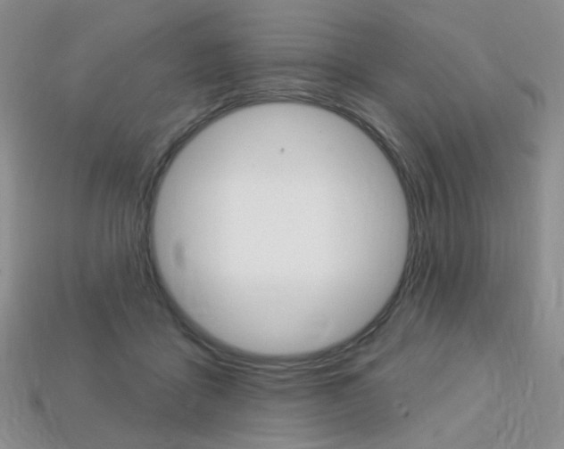 X0000113230411200909100947